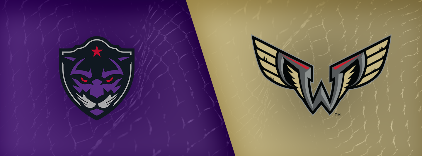 Panther City vs. Wings