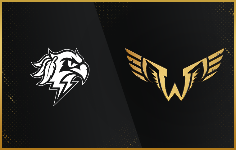 More Info for Thunderbirds vs. Wings